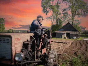 arable