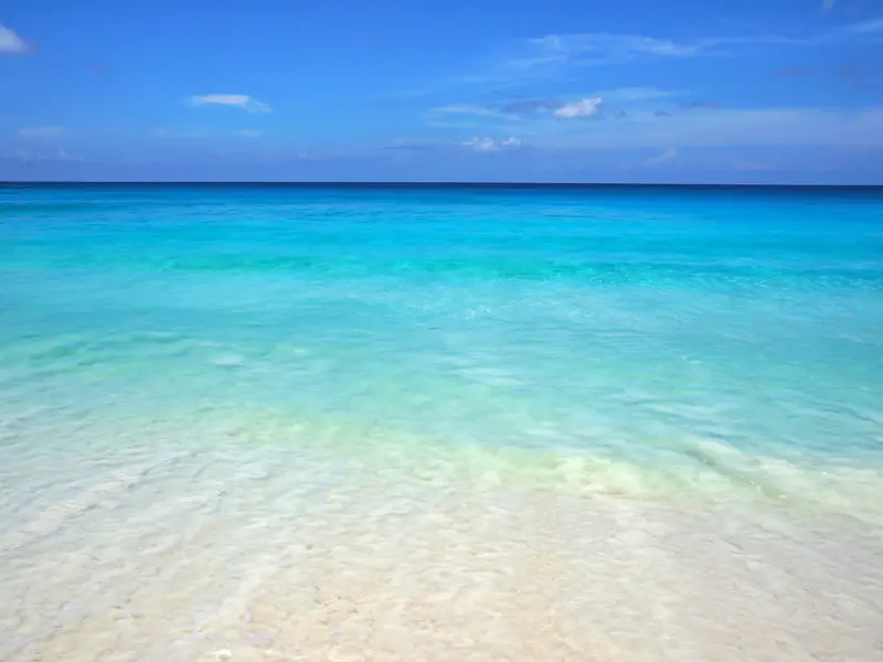 cerulean