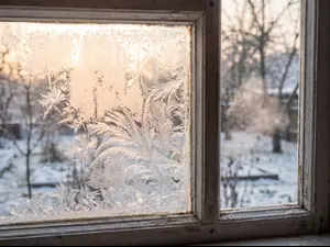 frosty