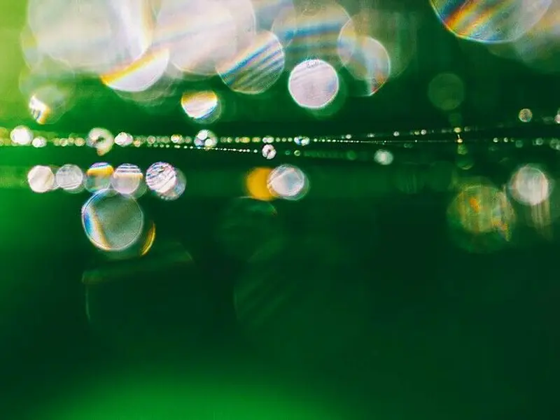 gossamer