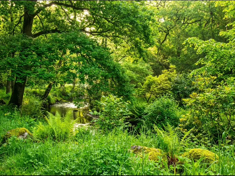 green