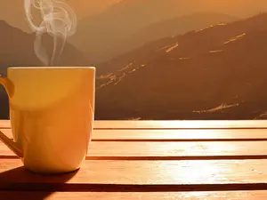 percolate