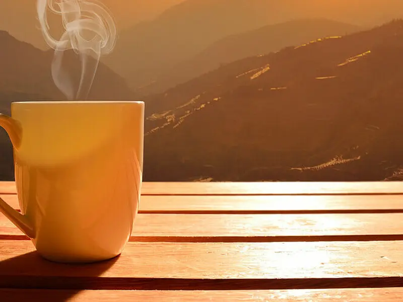 percolate
