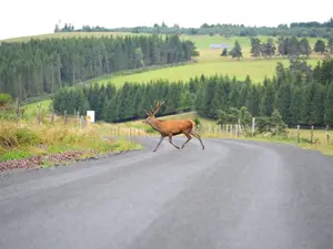 traverse